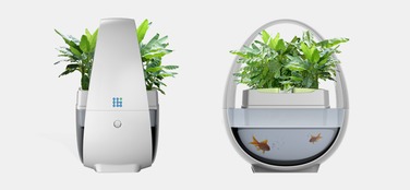 藍布生態魚缸 無需換水的智能水族新體驗與品牌創新之路